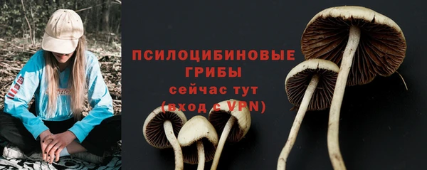 герыч Верея