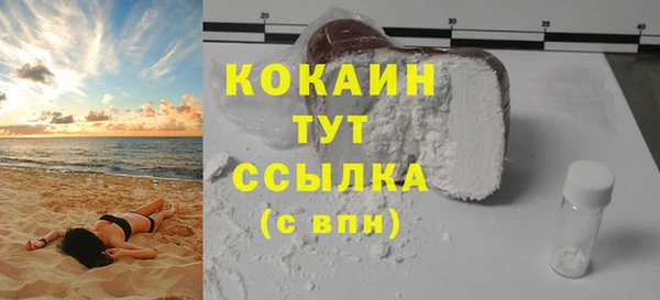 твердый Володарск